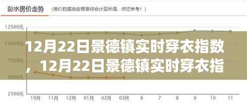景德镇实时穿衣指数，寒冷天气下的时尚与舒适度共存指南