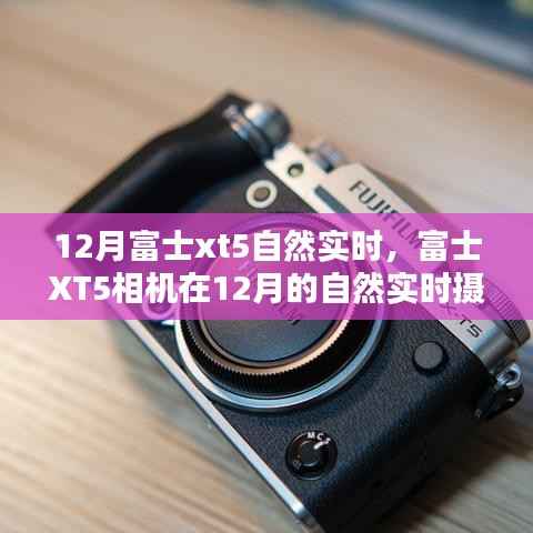 富士XT5相机,十二月自然实时摄影体验分享