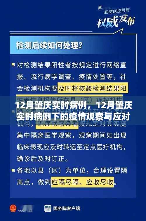 关于肇庆市实时病例的观察与应对策略之我见，疫情下的深度探讨