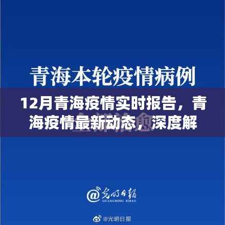 青海疫情深度解析，十二月实时报告与最新动态