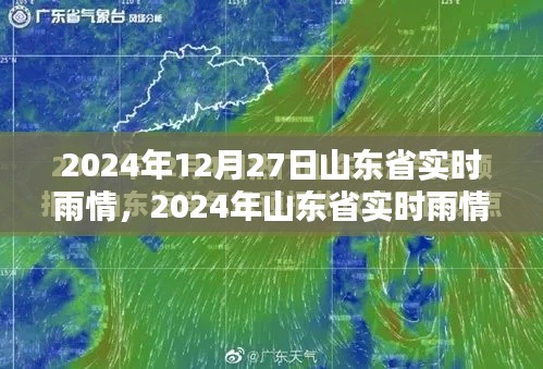 山东省实时雨情分析报告,最新雨情动态(2024年12月27日)