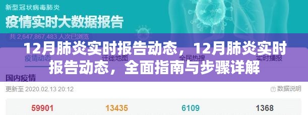 12月肺炎实时报告动态,全面指南与详解