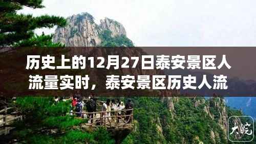 泰安景区历史人流量巅峰背后的故事，实时流量变化与梦想成就之路