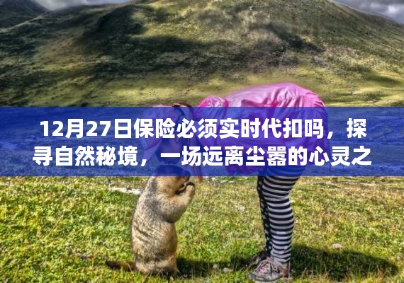 保险代扣与心灵之旅,探寻自然秘境的远离尘嚣之旅