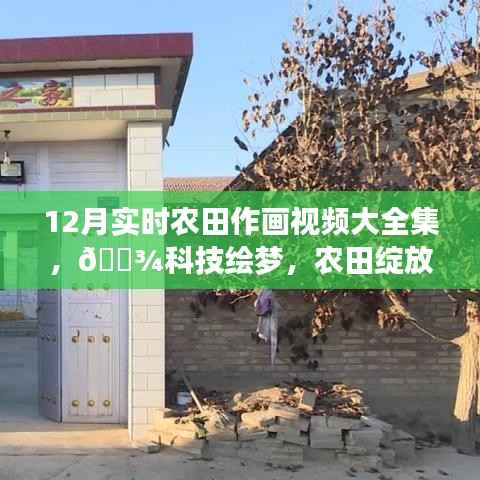 12月实时农田作画视频惊艳呈现,科技绘梦,农田绽放新篇章!
