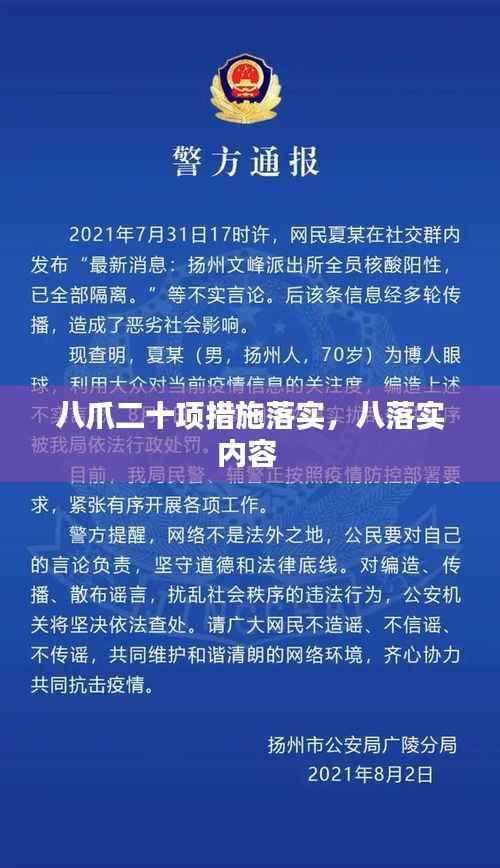 八爪二十项措施落实,八落实内容