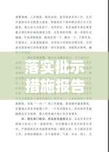 落实批示措施报告，批示落实情况 