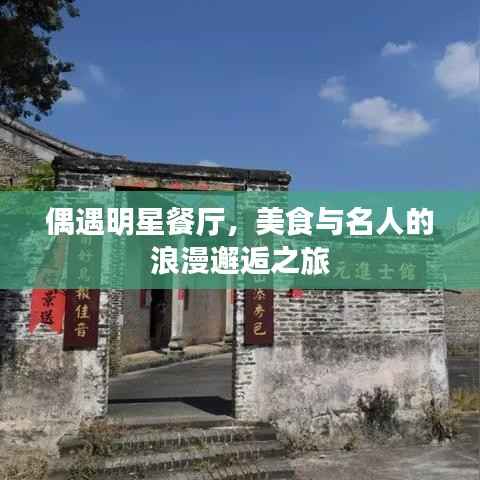 偶遇明星餐厅，美食与名人的浪漫邂逅之旅