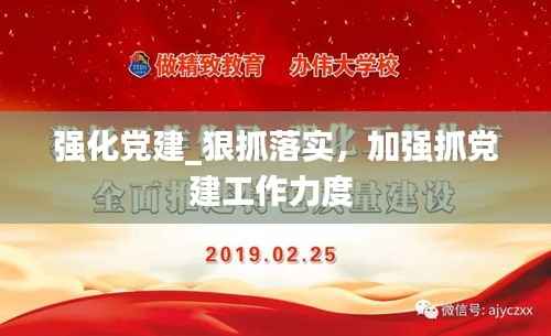强化党建_狠抓落实,加强抓党建工作力度