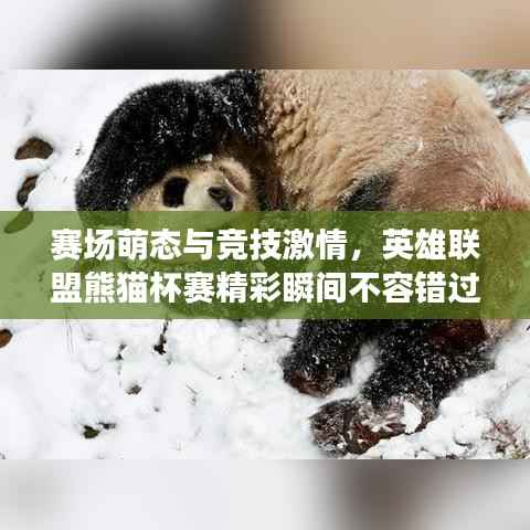 赛场萌态与竞技激情,英雄联盟熊猫杯赛精彩瞬间不容错过!
