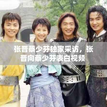 张晋蔡少芬独家采访,张晋向蔡少芬表白视频