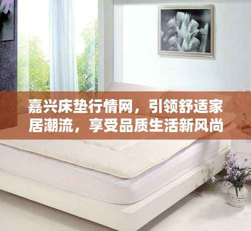 嘉兴床垫行情网，引领舒适家居潮流，享受品质生活新风尚