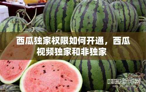 西瓜独家权限如何开通,西瓜视频独家和非独家