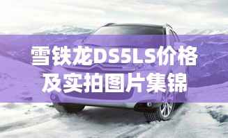 雪铁龙DS5LS价格及实拍图片集锦