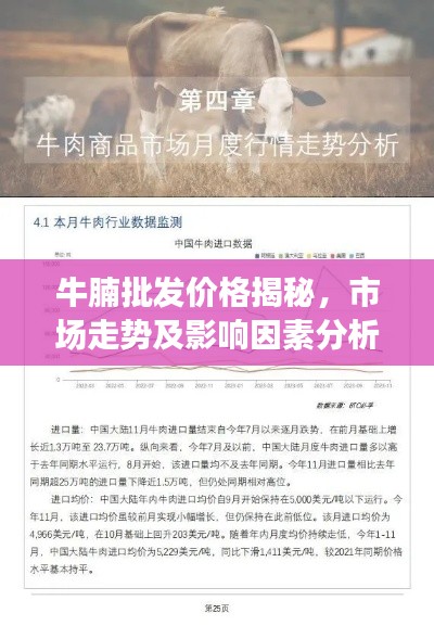 牛腩批发价格揭秘,市场走势及影响因素分析