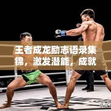 王者成龙励志语录集锦,激发潜能,成就辉煌人生之路