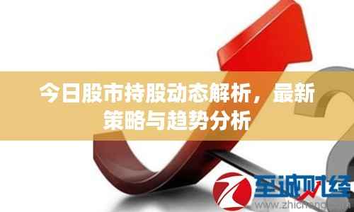 今日股市持股动态解析,最新策略与趋势分析