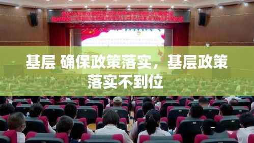 基层 确保政策落实,基层政策落实不到位