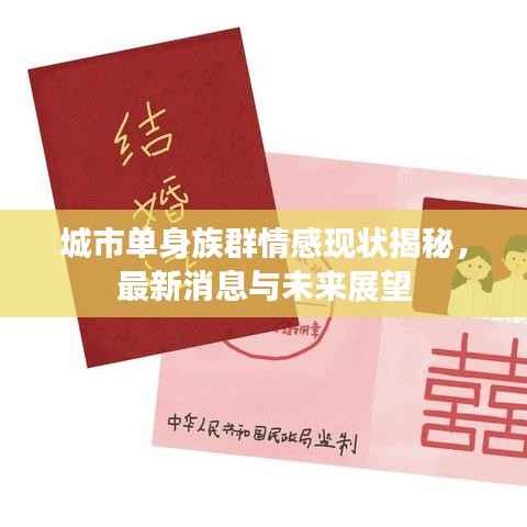城市单身族群情感现状揭秘，最新消息与未来展望