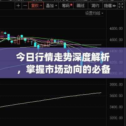 今日行情走势深度解析,掌握市场动向的必备指南