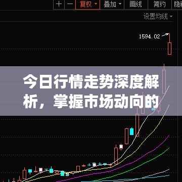 今日行情走势深度解析，掌握市场动向的必备指南