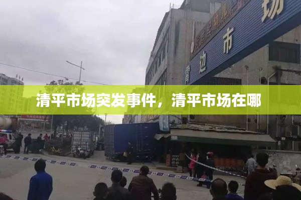 老死不相往来 第3页