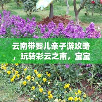 云南带婴儿亲子游攻略,玩转彩云之南,宝宝也能享受无限乐趣!