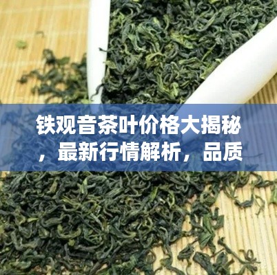 铁观音茶叶价格大揭秘，最新行情解析，品质与价格双重保障！