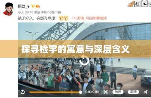 集腋成裘 第2页