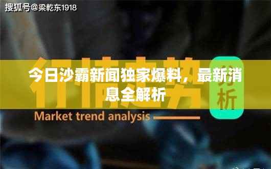 今日沙霸新闻独家爆料，最新消息全解析