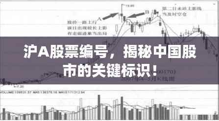 夯雀儿先飞 第2页