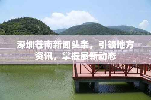 深圳苍南新闻头条，引领地方资讯，掌握最新动态