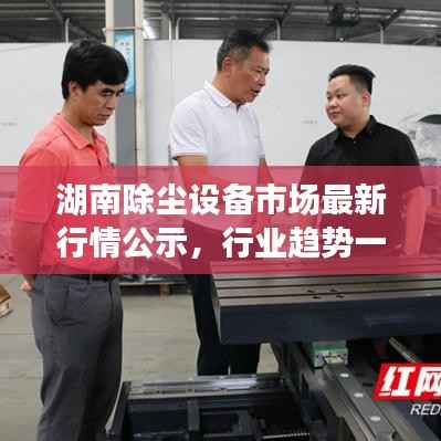 zhangfeichuanzhen 第3页