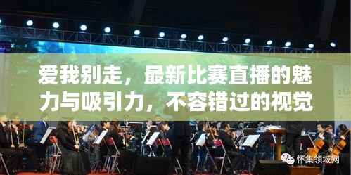 鸿飞雪爪 第3页