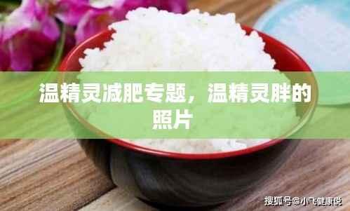 温精灵减肥专题,温精灵胖的照片