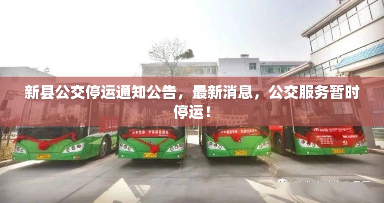 鸟栖虫居 第3页