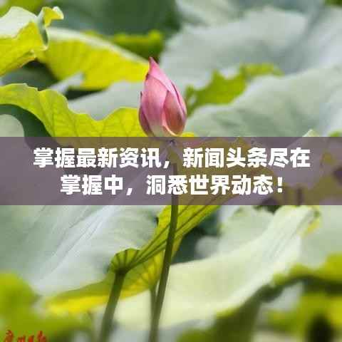 掌握最新资讯,新闻头条尽在掌握中,洞悉世界动态!