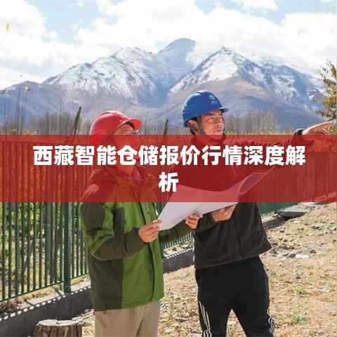 西藏智能仓储报价行情深度解析