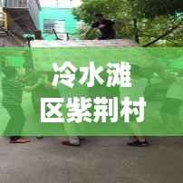 冷水滩区紫荆村新闻聚焦，乡村振兴与社区新貌展现风采