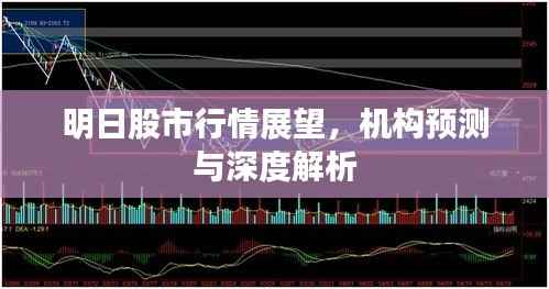 明日股市行情展望，机构预测与深度解析