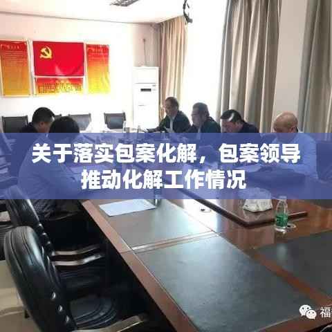 关于落实包案化解,包案领导推动化解工作情况