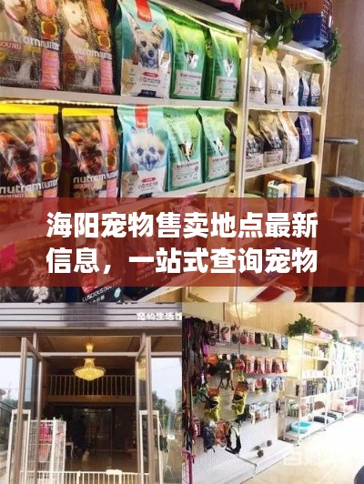 海阳宠物售卖地点最新信息,一站式查询宠物爱好者福音