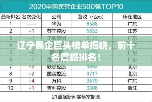 辽宁民企巨头榜单揭晓，前十名震撼排名！