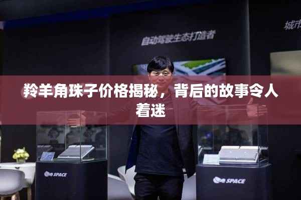 羚羊角珠子价格揭秘，背后的故事令人着迷