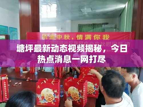 塘坪最新动态视频揭秘，今日热点消息一网打尽