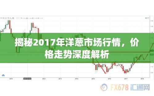 揭秘2017年洋葱市场行情，价格走势深度解析