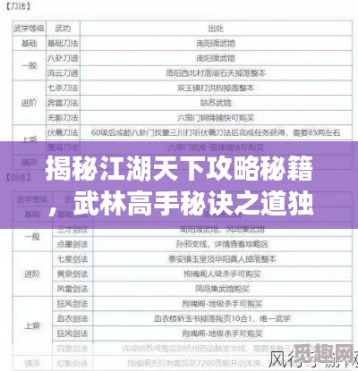 揭秘江湖天下攻略秘籍，武林高手秘诀之道独家揭秘