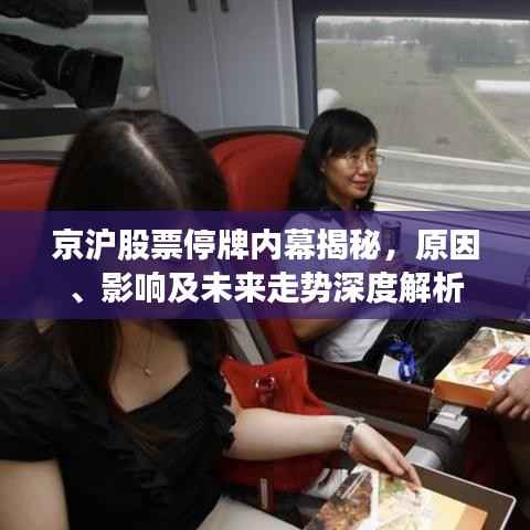 京沪股票停牌内幕揭秘，原因、影响及未来走势深度解析