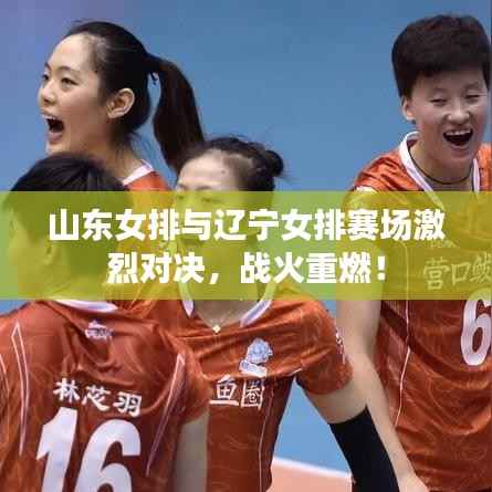 山东女排与辽宁女排赛场激烈对决,战火重燃!