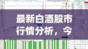 最新白酒股市行情分析，今日股价走势揭秘